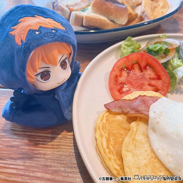 るかっぷ ポンチョ ハイキュー!! ヒナガラス【再販】 6