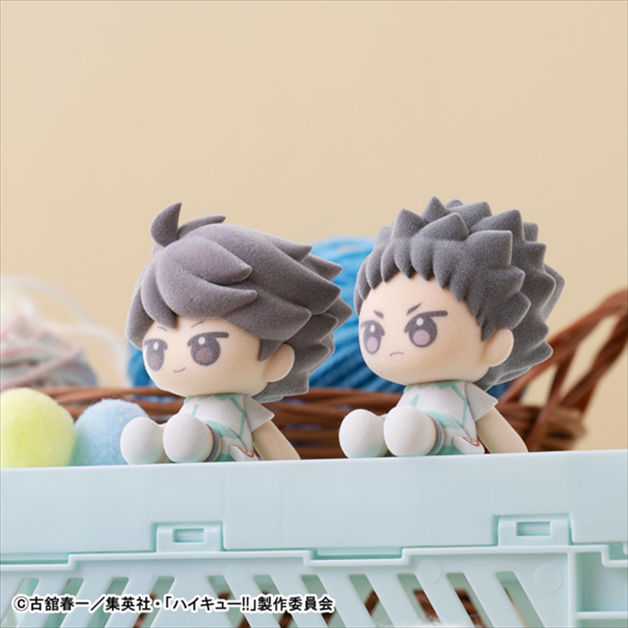 ぬいっぽ ハイキュ―!! 6