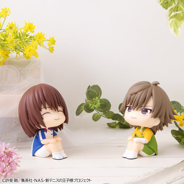 るかっぷ 新テニスの王子様 不二周助 17