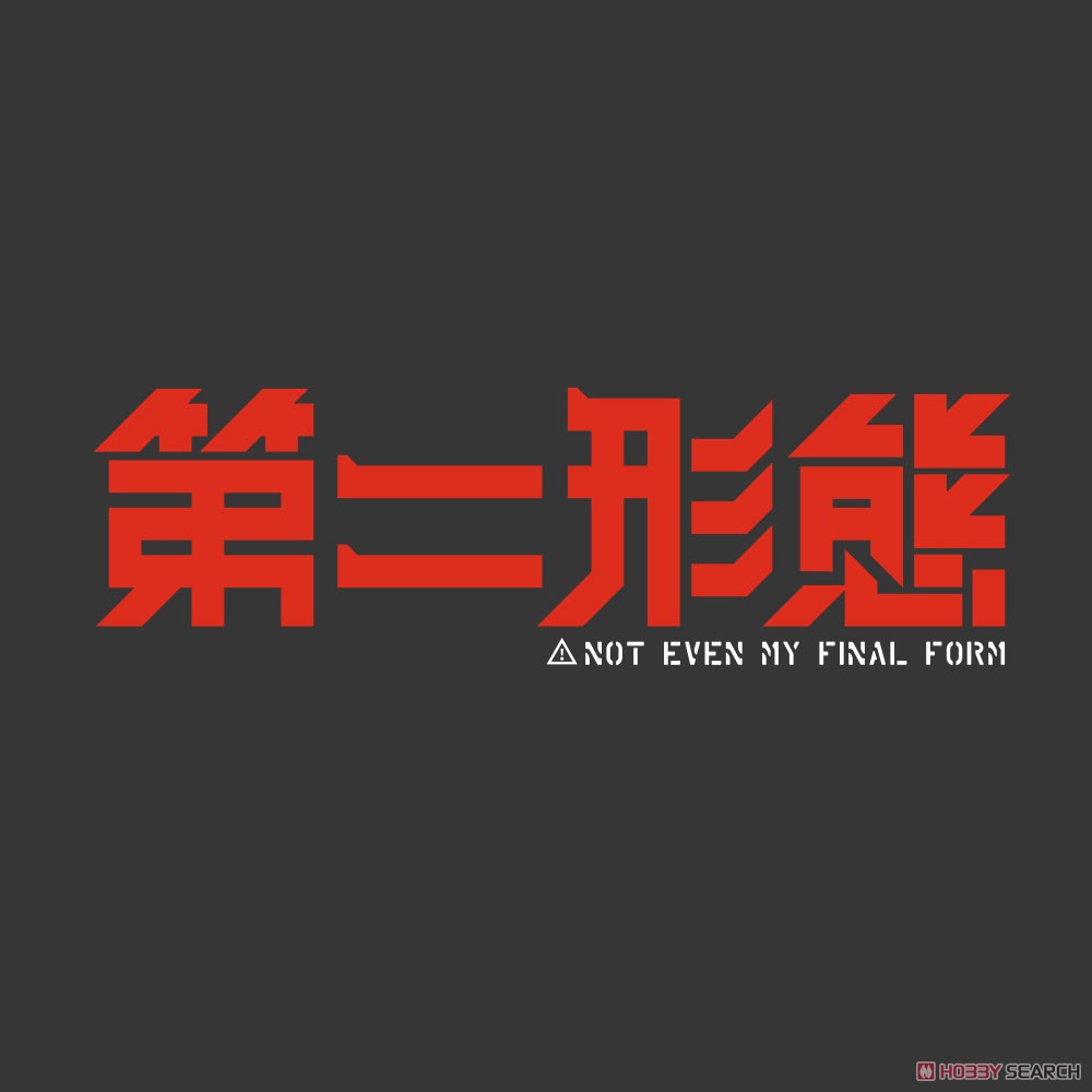 第二形態 Tシャツ/SUMI-S 3
