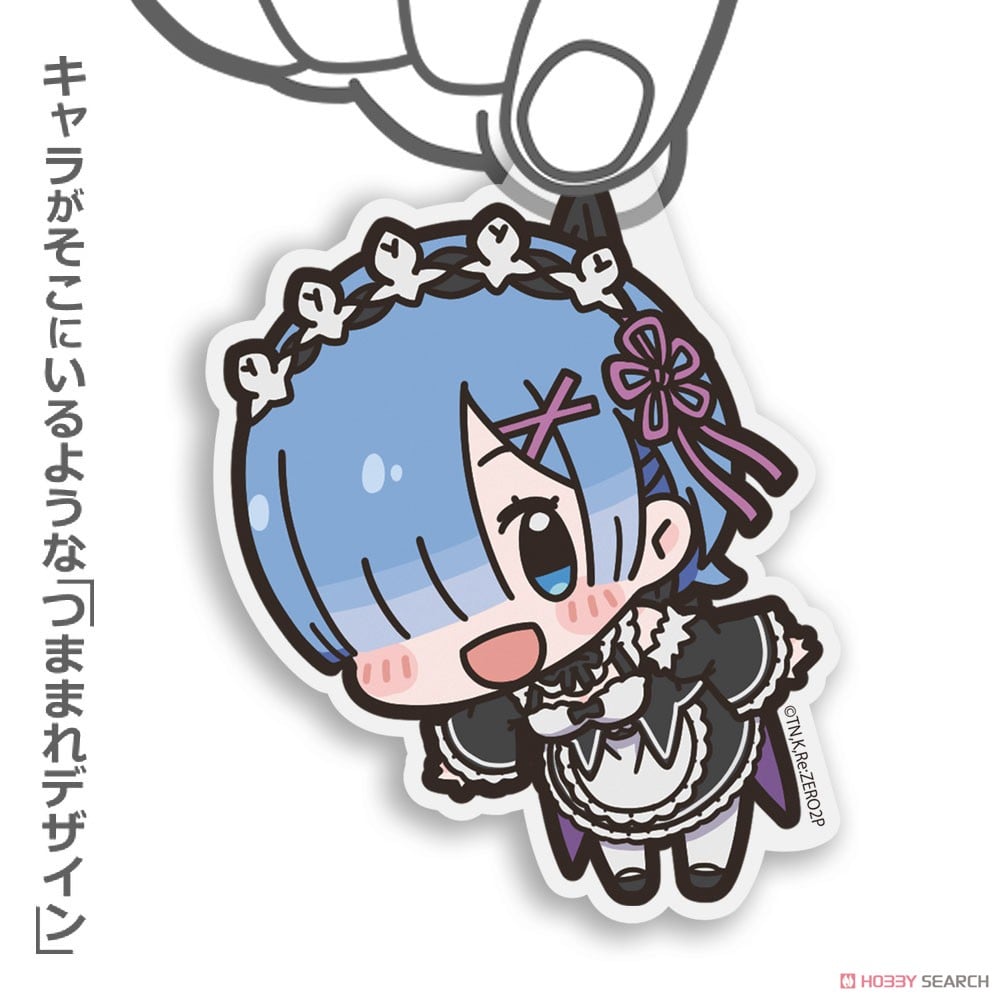 レム アクリルつままれ 3