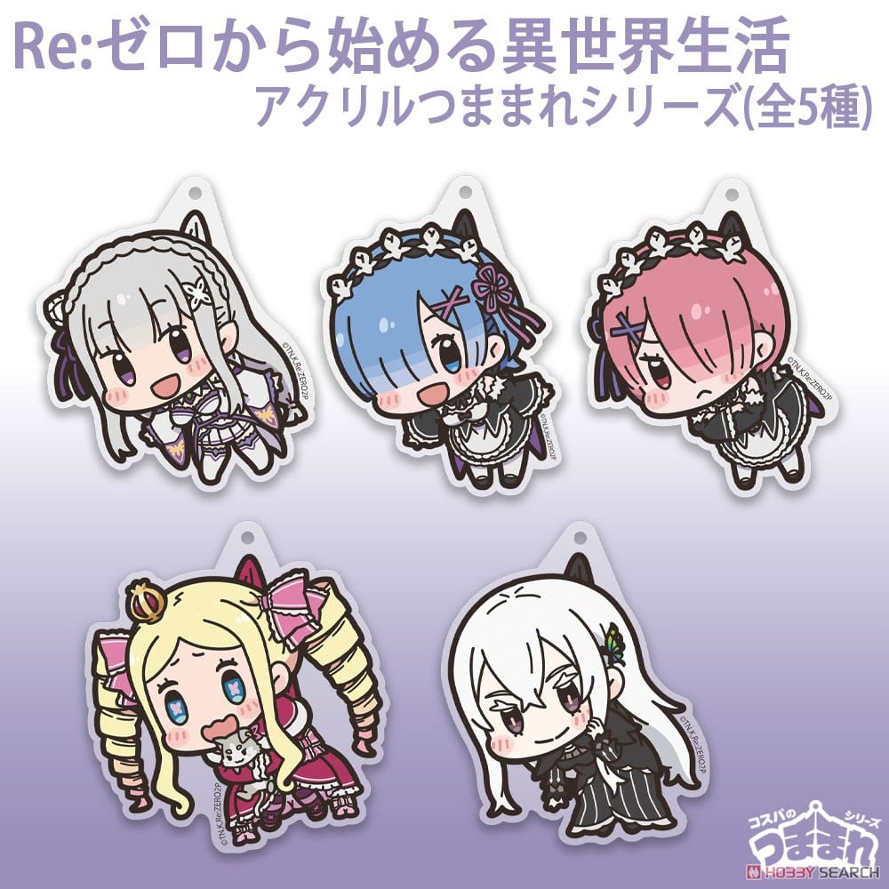 レム アクリルつままれ 4