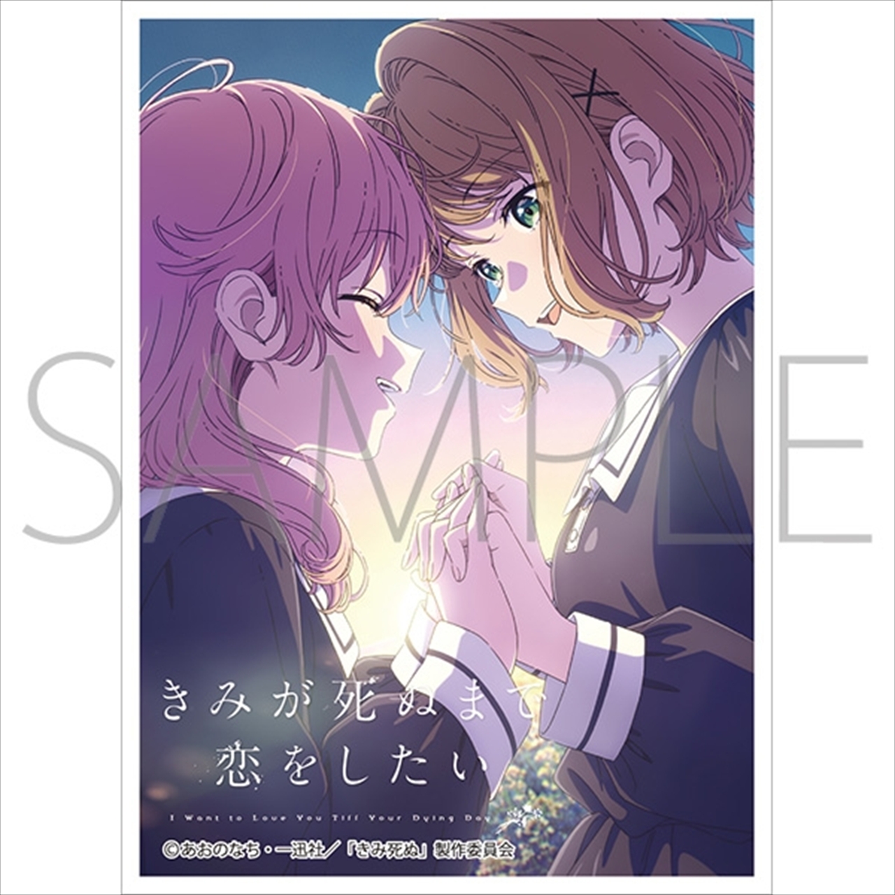 きゃらスリーブコレクション マットシリーズ 「きみが死ぬまで恋をしたい」 ミミ＆シーナA(No.MT2494)