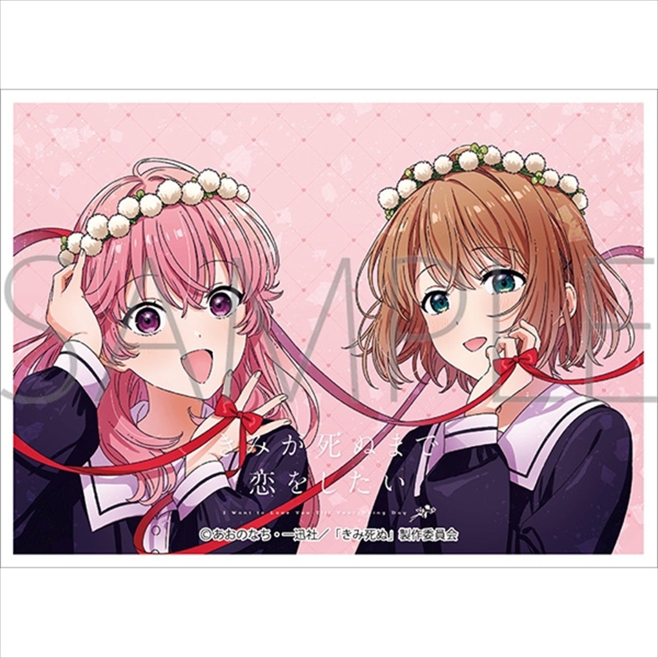 きゃらスリーブコレクション マットシリーズ 「きみが死ぬまで恋をしたい」 ミミ＆シーナB(No.MT2495)