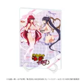 アクリルアートボード(A5サイズ)「ハイスクールD×D HERO」01/リアス・グレモリー＆姫島朱乃 エプロンありVer.(描き下ろしイラスト) 1