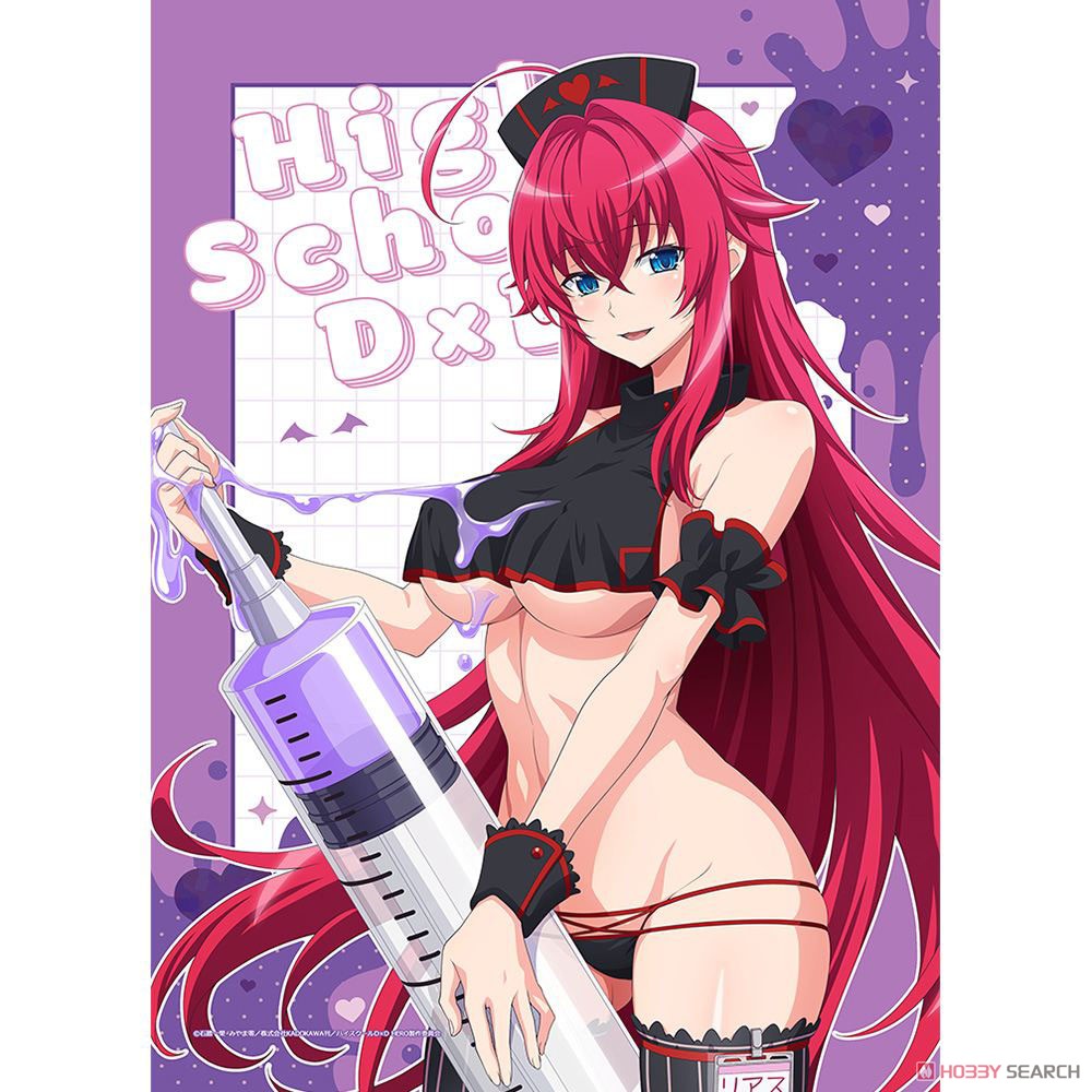 ハイスクールD×D HERO 描き下ろしB2タペストリー（リアス・グレモリー／黒ナース）Wスエード 2