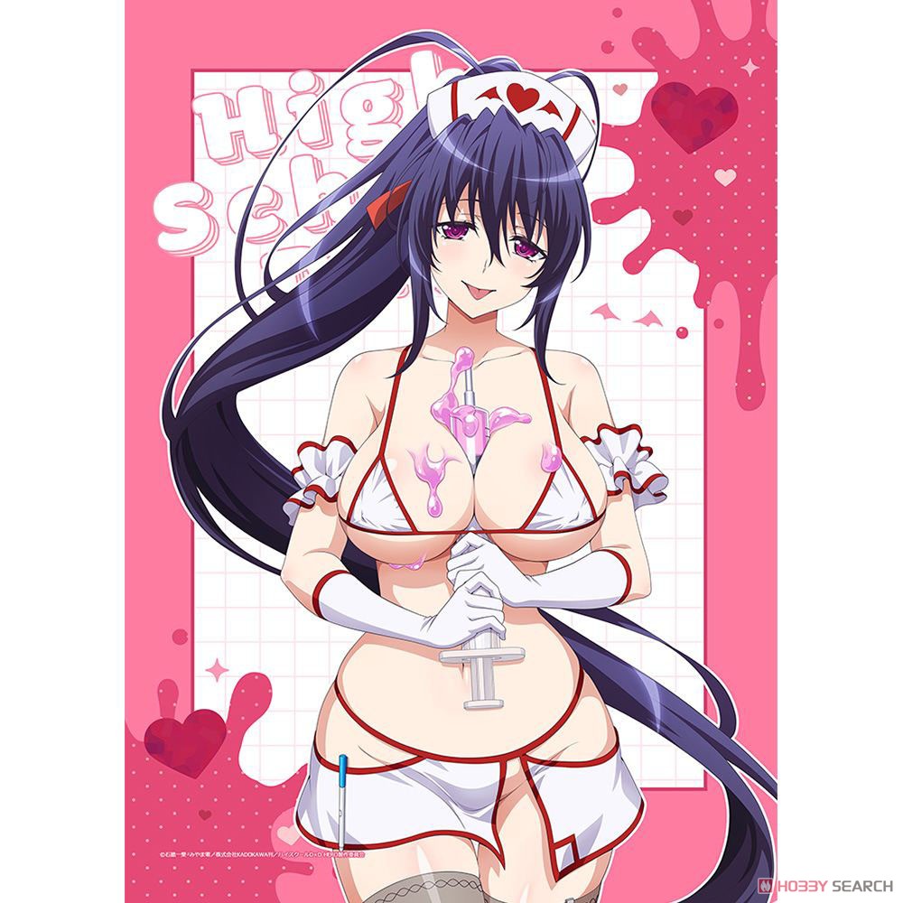 ハイスクールD×D HERO 描き下ろしB2タペストリー（姫島朱乃／白ナース）Wスエード 2