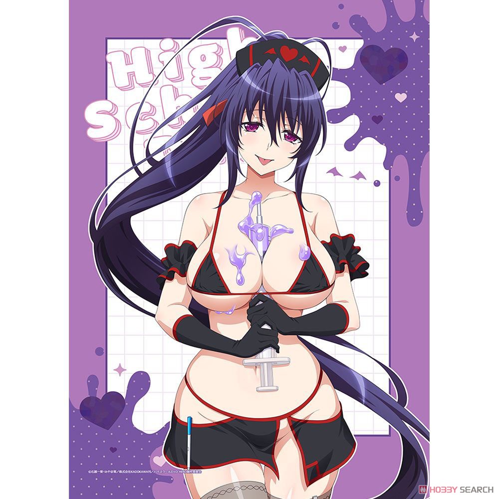 ハイスクールD×D HERO 描き下ろしB2タペストリー（姫島朱乃／黒ナース）Wスエード 2