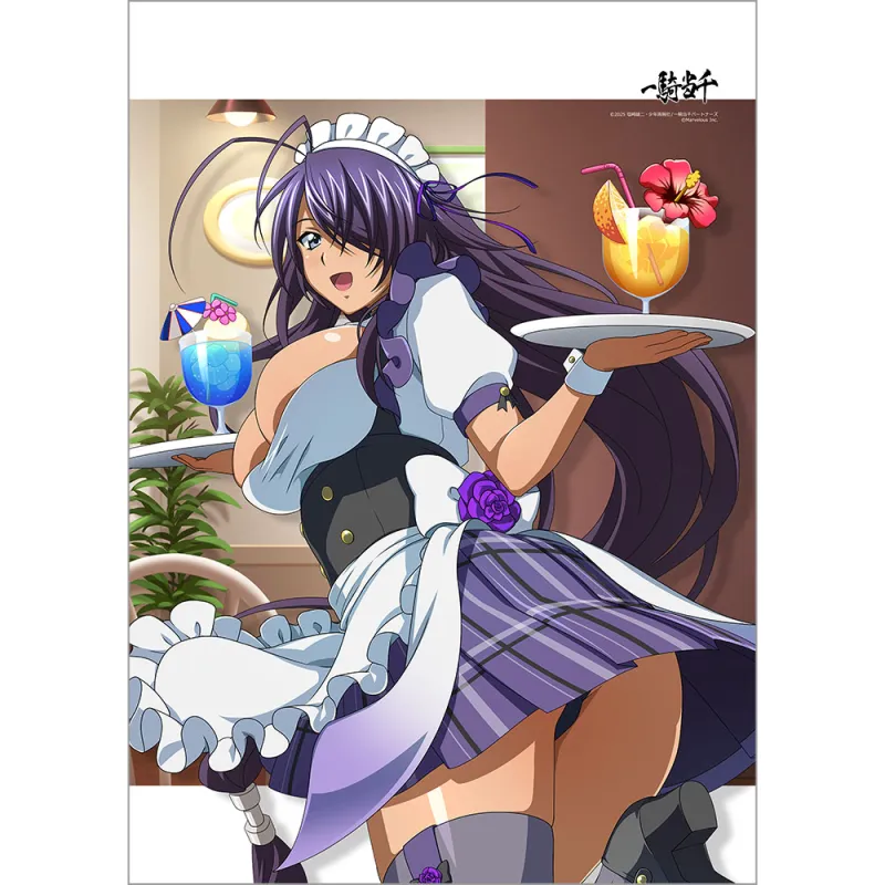 一騎当千 B2タペストリー(関羽雲長/成都最強のメイド長)Wスエード
