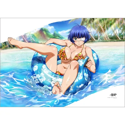 一騎当千 掛け布団カバー(呂蒙子明/ハプニングライド)