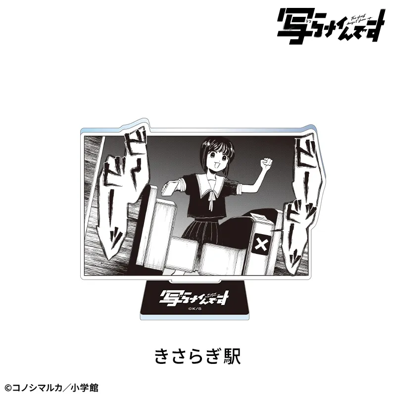 【写らナイんです】アクリルスタンド：きさらぎ駅