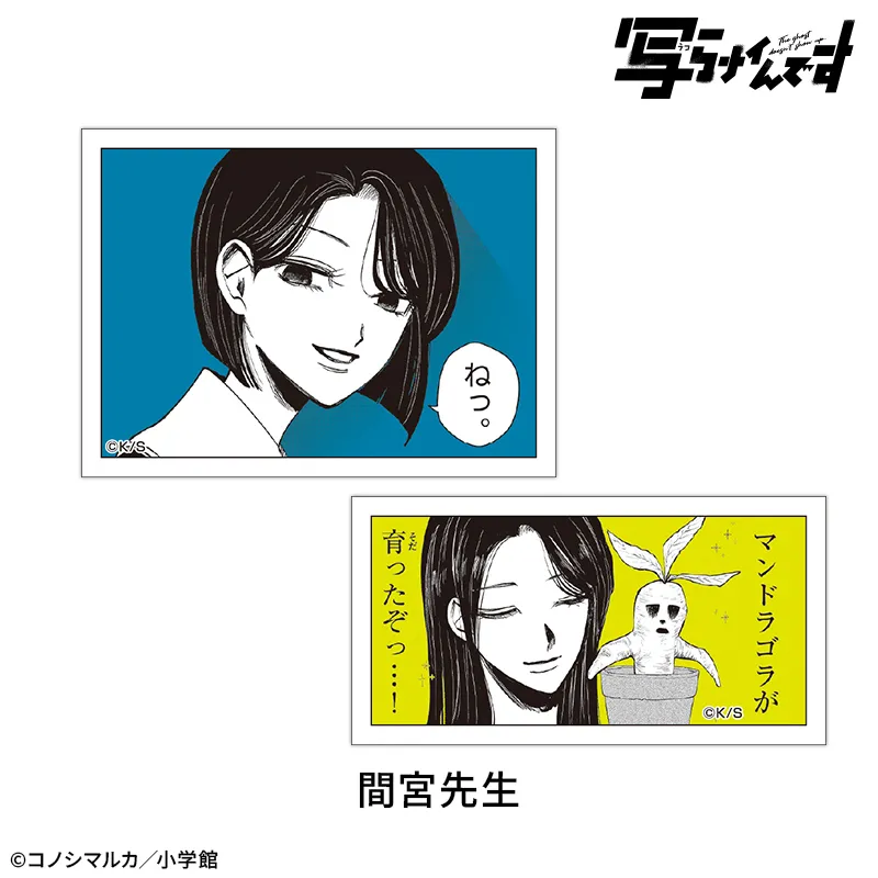 【写らナイんです】ゆるコマステッカーセット2枚:間宮先生