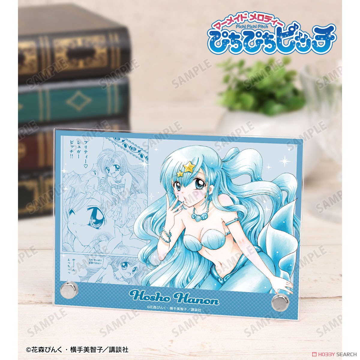 宝生 波音 A6アクリルパネル 2