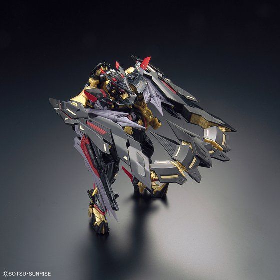 RG ガンダムアストレイ ゴールドフレーム天ミナ 3