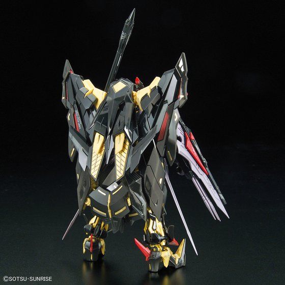 RG ガンダムアストレイ ゴールドフレーム天ミナ 5