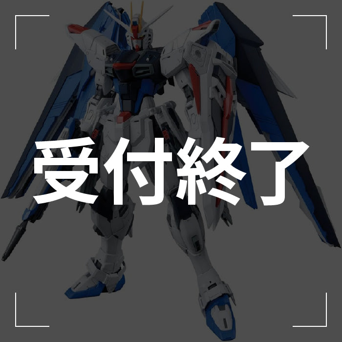 MG フリーダムガンダム Ver.2.0