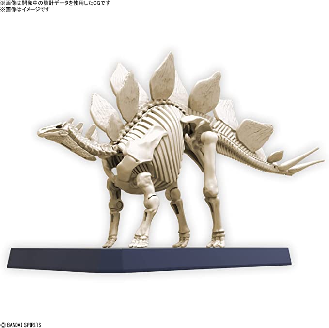プラノサウルス ステゴサウルス 2