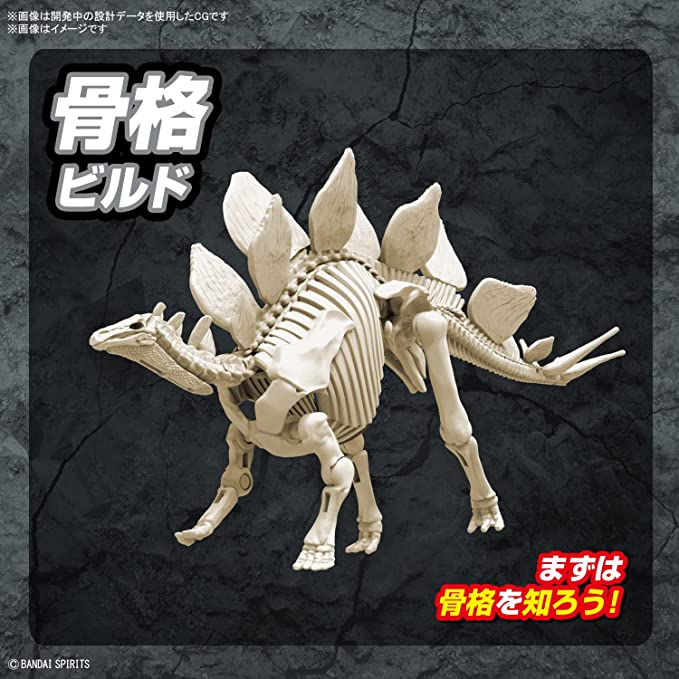 プラノサウルス ステゴサウルス 4