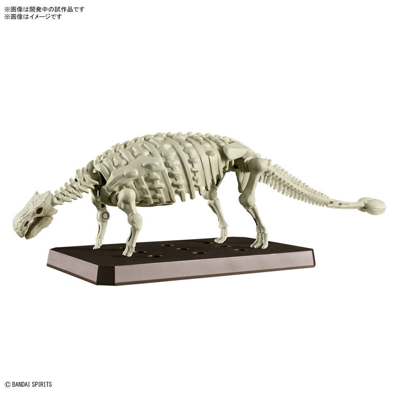 プラノサウルス アンキロサウルス 3