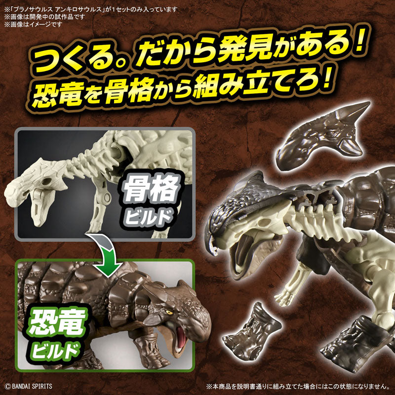 プラノサウルス アンキロサウルス 6