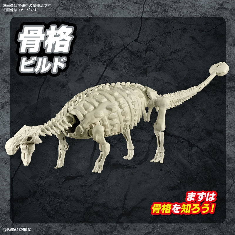 プラノサウルス アンキロサウルス 7