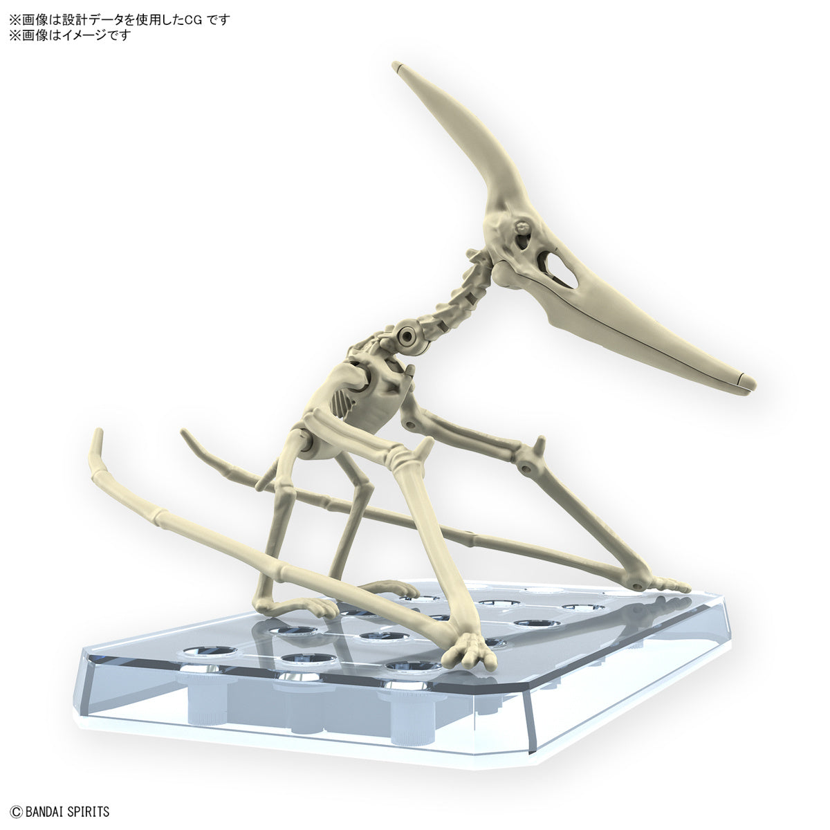 プラノサウルス プテラノドン 3