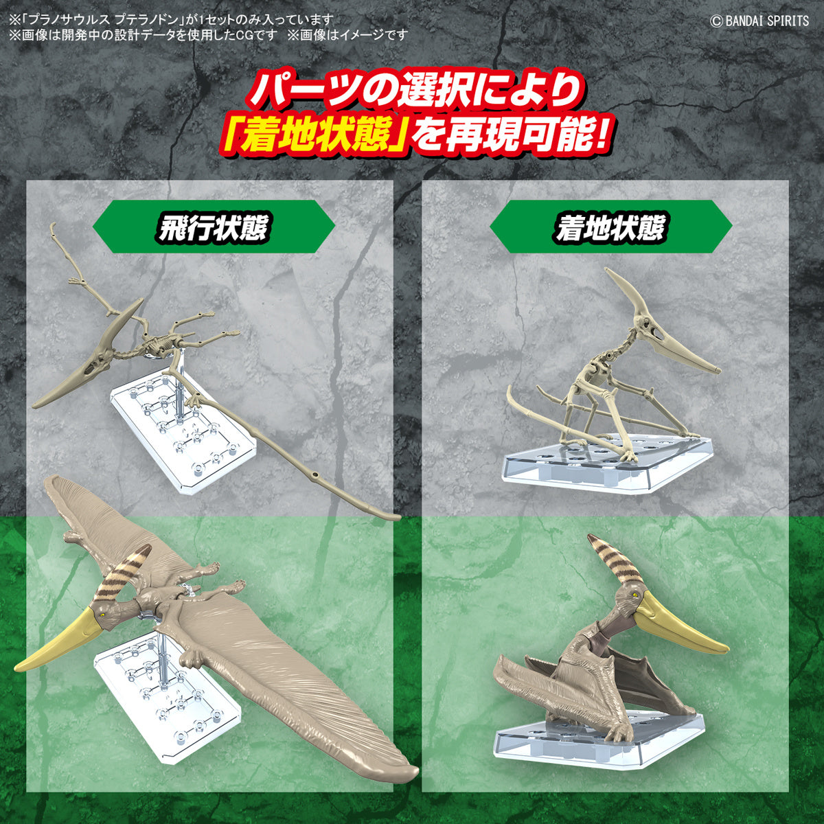 プラノサウルス プテラノドン 7
