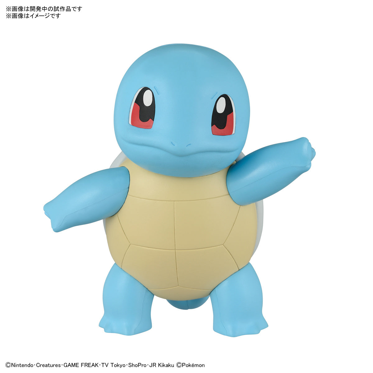 クイック!! 17 ゼニガメ