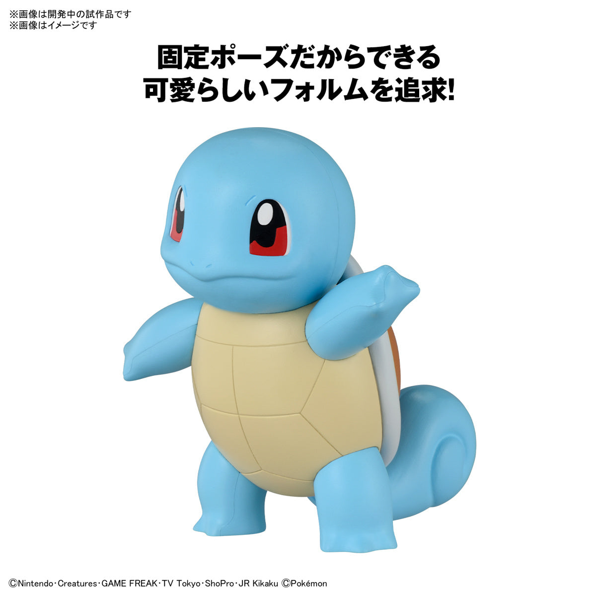 クイック!! 17 ゼニガメ 3