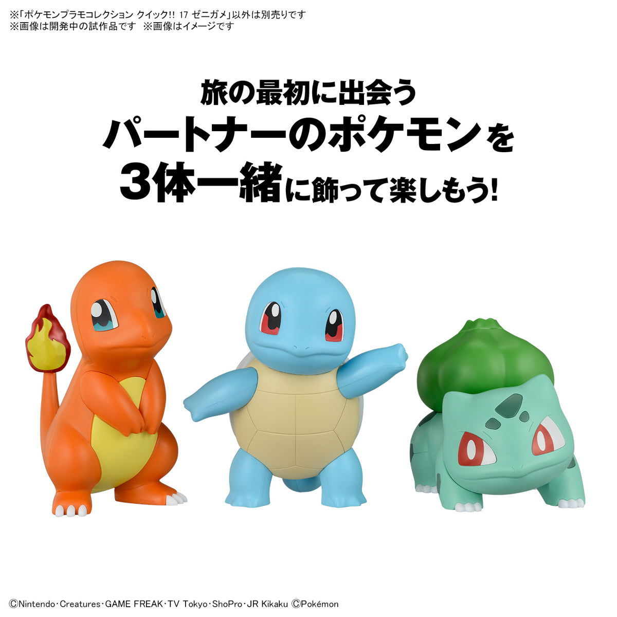 クイック!! 17 ゼニガメ 5