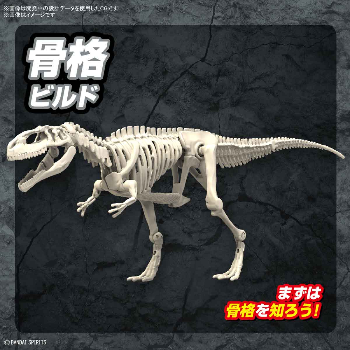 プラノサウルス ギガノトサウルス 4