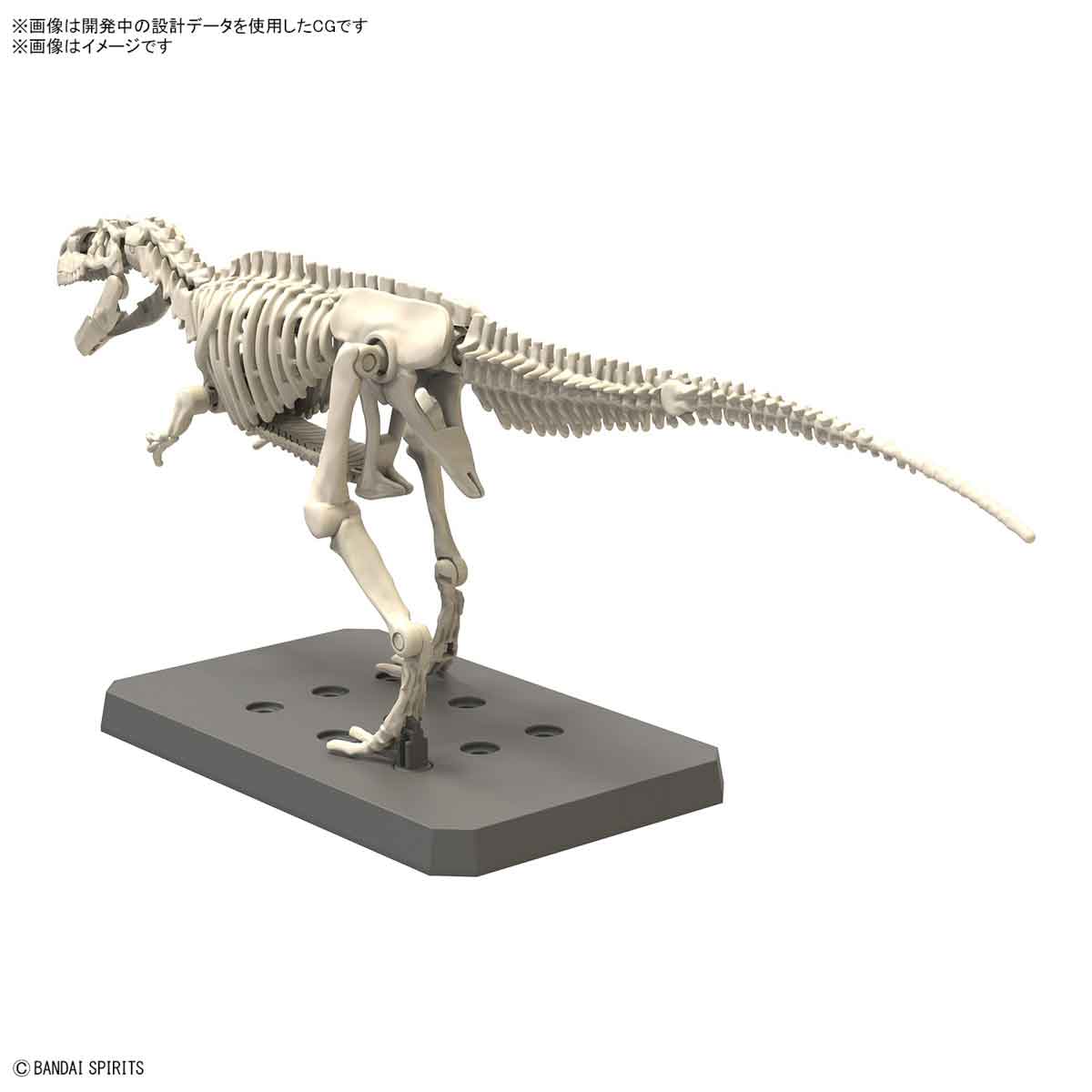 プラノサウルス ギガノトサウルス 6