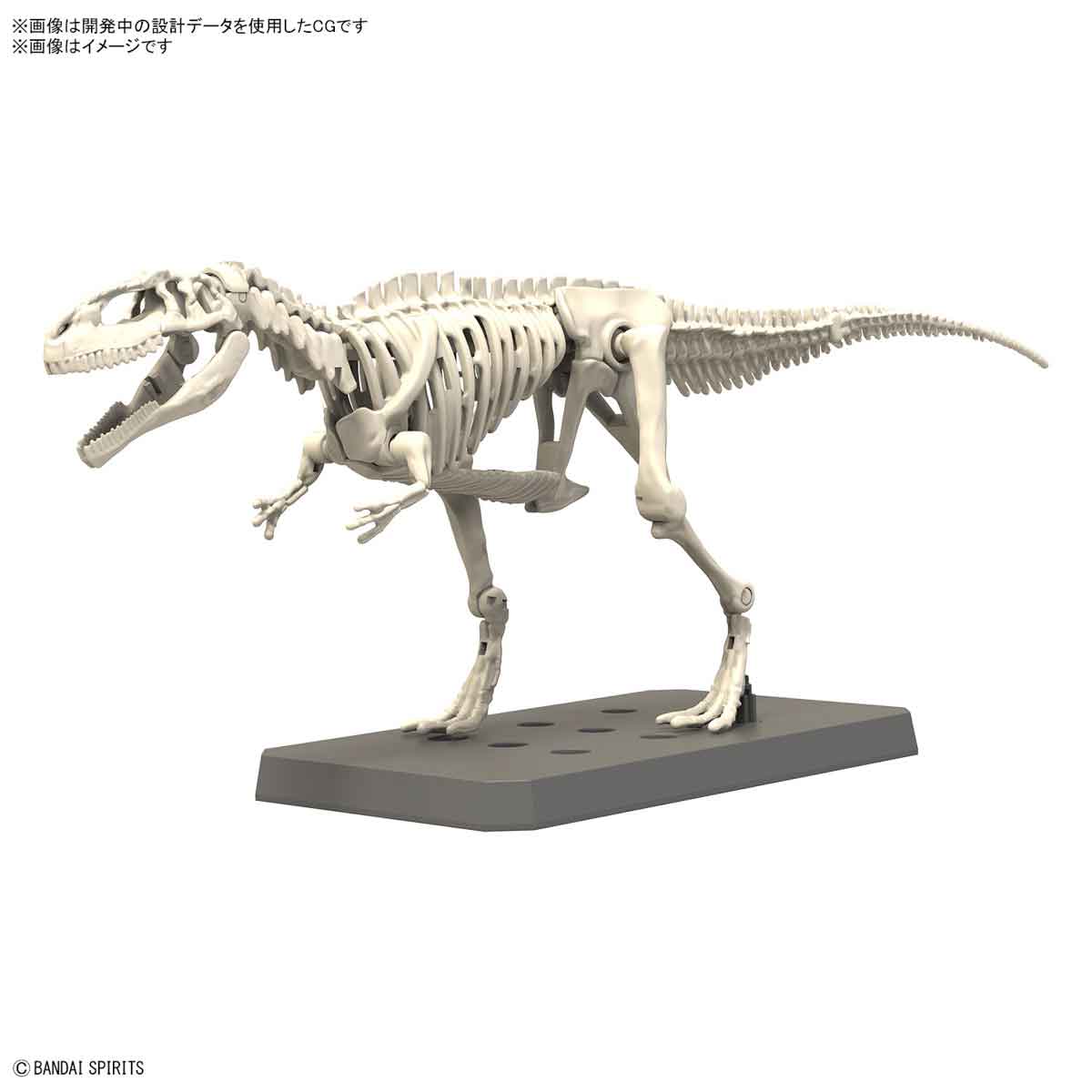 プラノサウルス ギガノトサウルス 8
