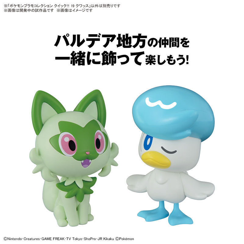 クイック!! 19 クワッス 4