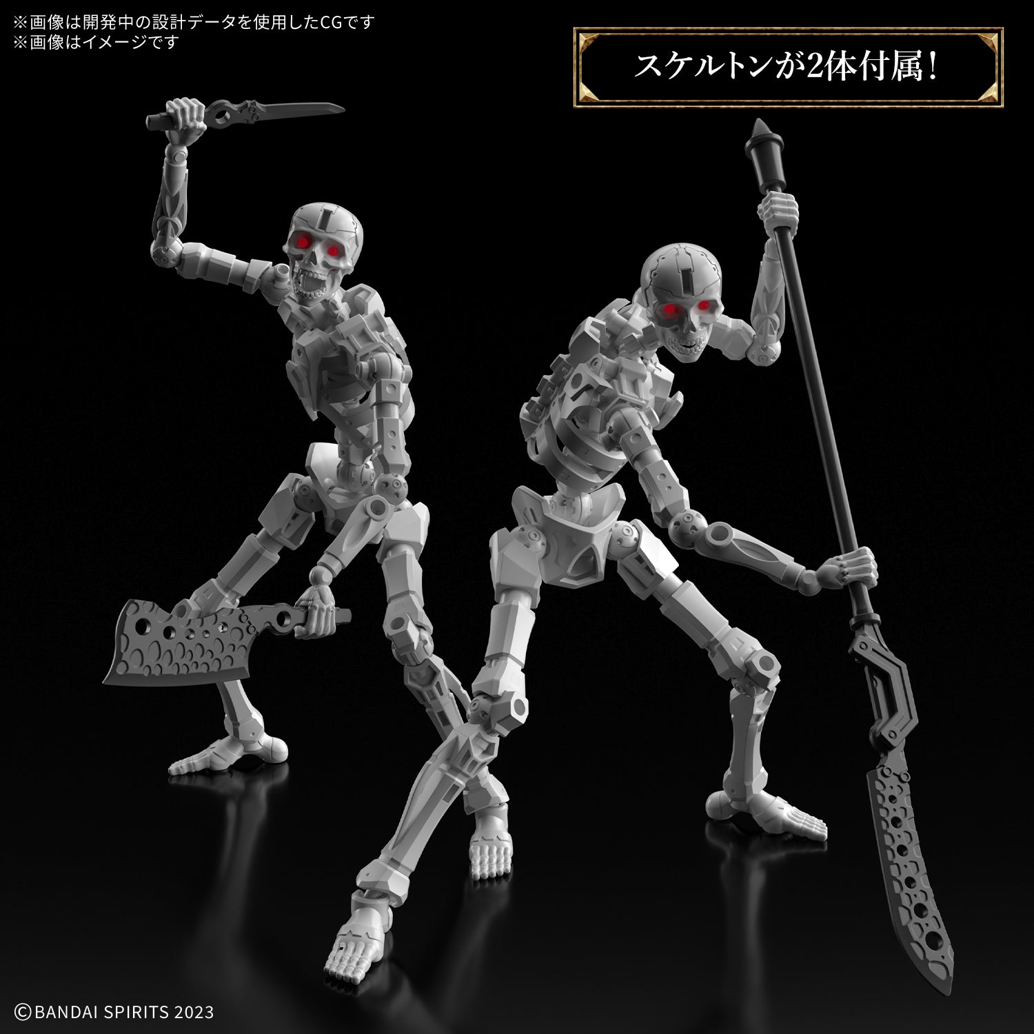 30MF ドゥロースケルトン 2