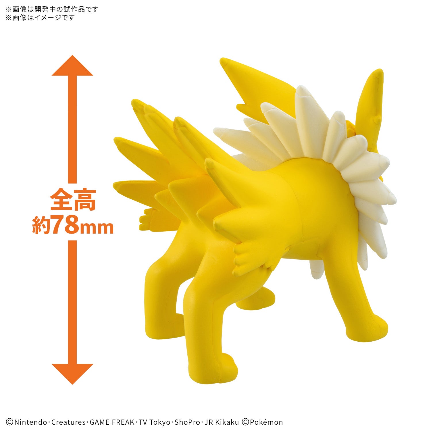 クイック!! 26 サンダース 2