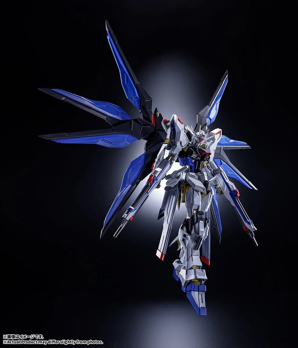 ABSOLUTE ACT ストライクフリーダムガンダム 6
