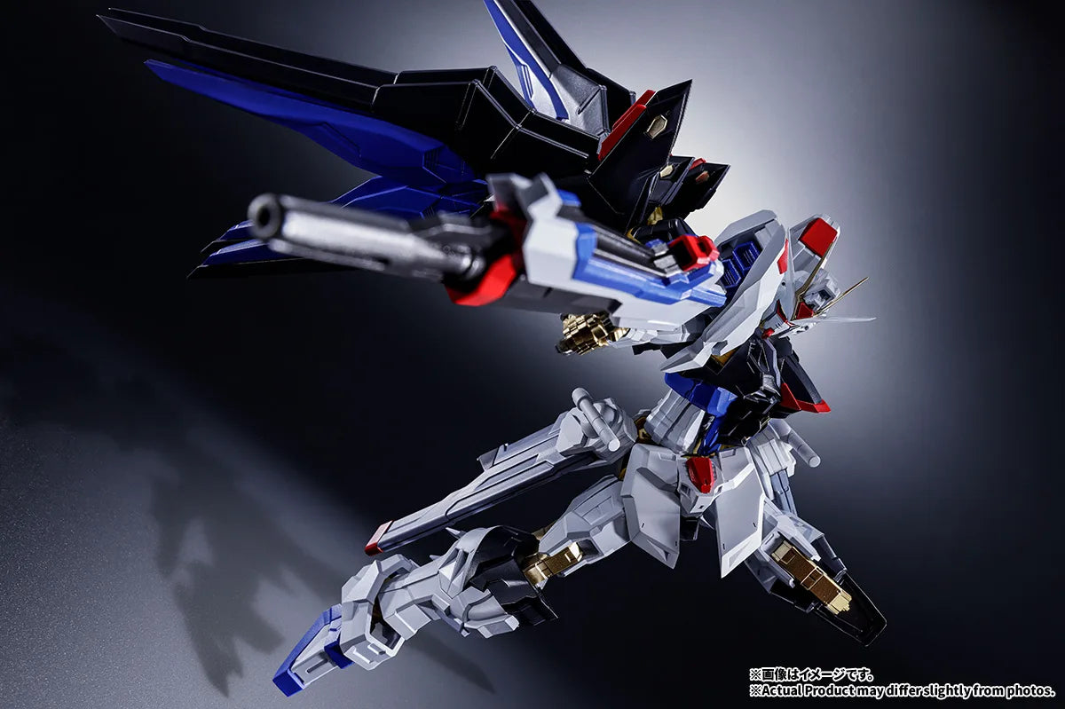 ABSOLUTE ACT ストライクフリーダムガンダム 11