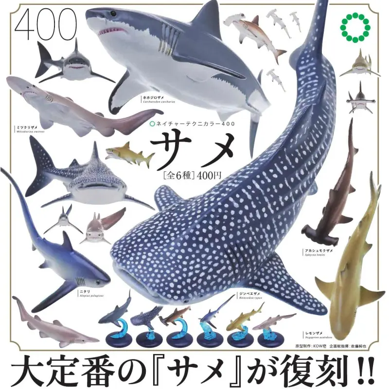 NTC400 サメ（再販）※减数可能