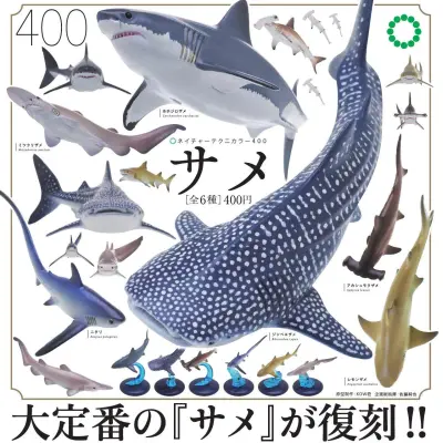 NTC400 サメ(再販)※减数可能