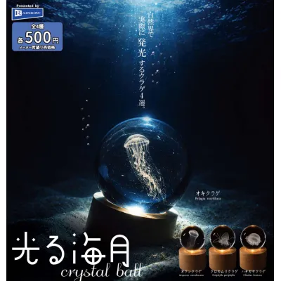 光る海月crystal ball