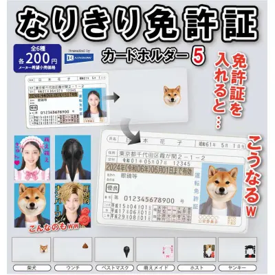 なりきり免許証カードホルダー5※减数可能