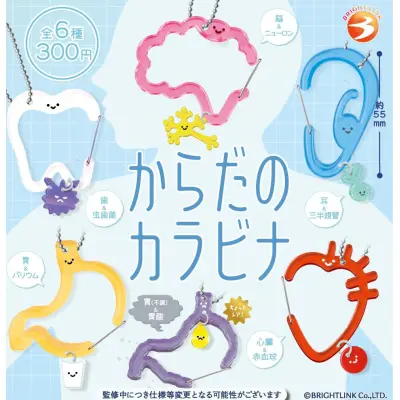 【からだのカラビナ】※减数可能