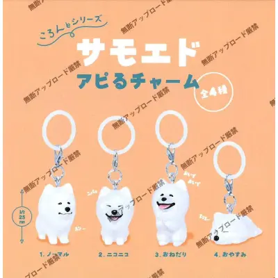 ころんとシリーズ サモエドアピるチャーム※减数可能