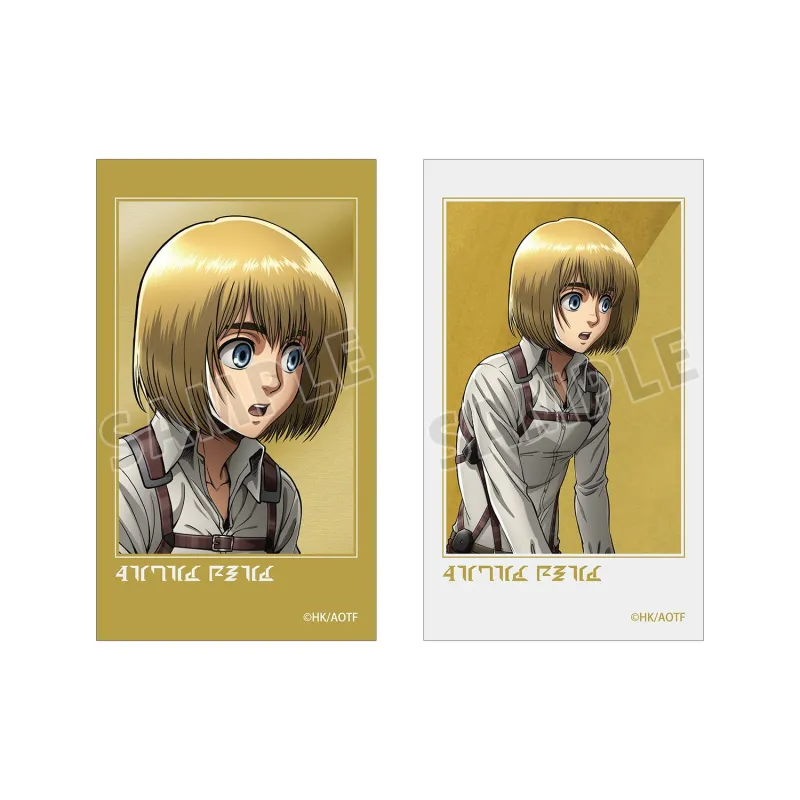 アルミン Ani-Frame2枚セット
