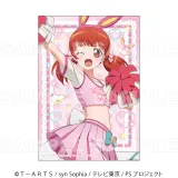 『プリティーシリーズ15周年』【マスコット風コーデ】 トレーディングブロマイド 1
