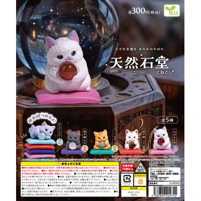 天然石堂~こねこ~※减数可能