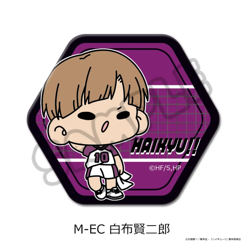 「ハイキュー!!」第11弾 六角形缶バッジ(mochocho) M-EC(白布賢二郎)