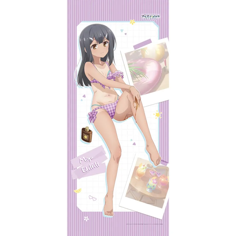 劇場版「Fate/kaleid liner プリズマ☆イリヤ Licht 名前の無い少女」 描き下ろし特大タペストリー(美遊/日焼け)
