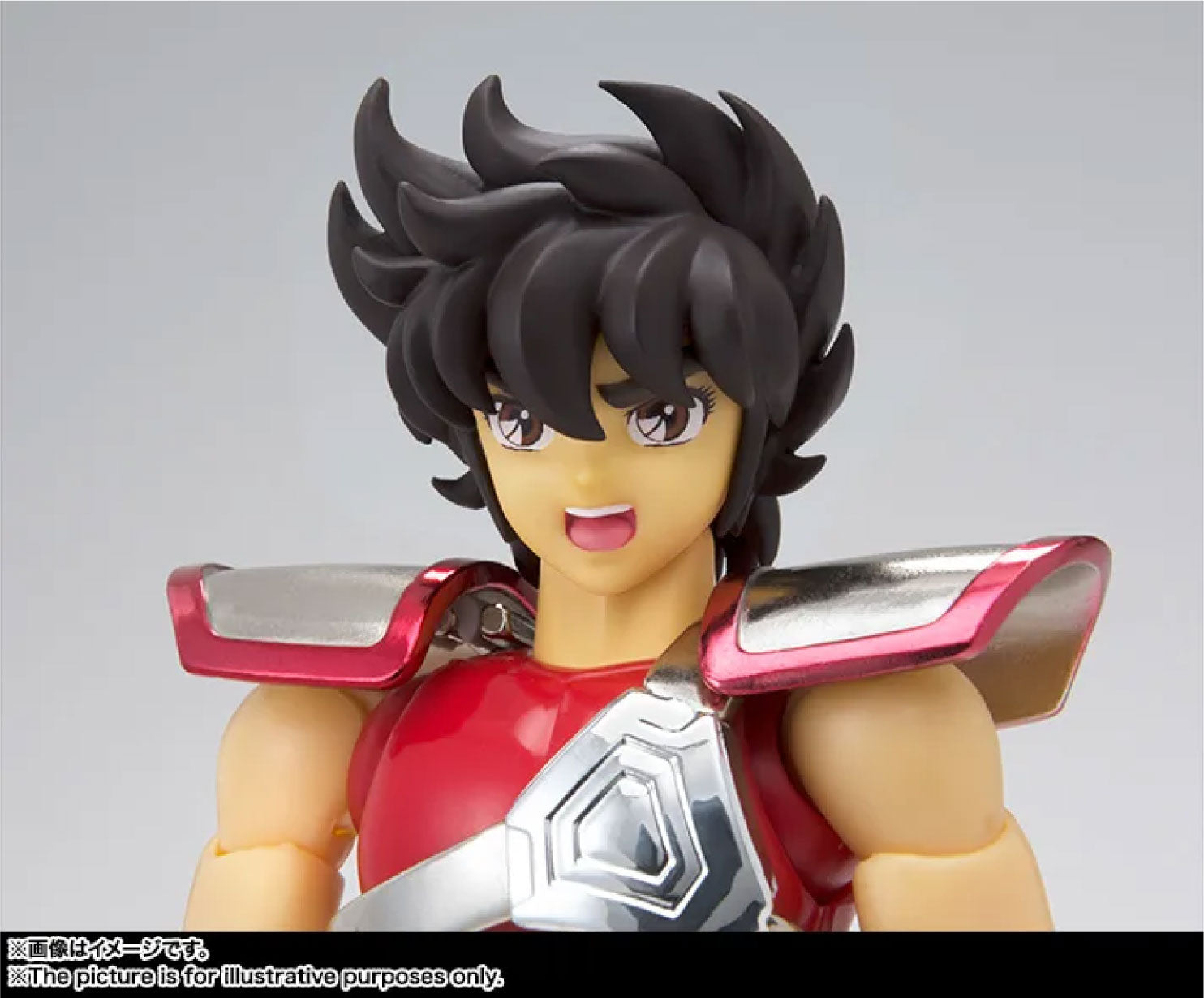 聖闘士聖衣神話 ペガサス星矢 初期青銅聖衣＜リバイバル版＞ 9
